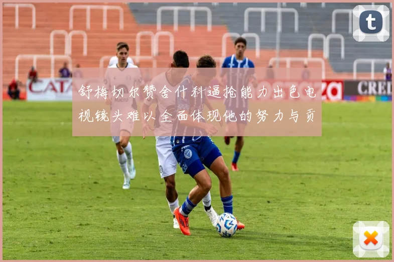 舒梅切尔赞舍什科逼抢能力出色电视镜头难以全面体现他的努力与贡献